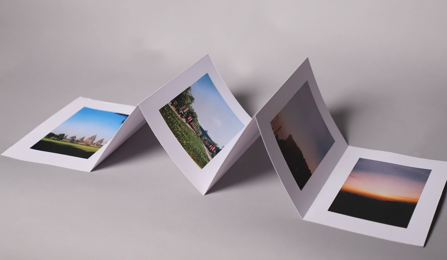 image portfolio du projet